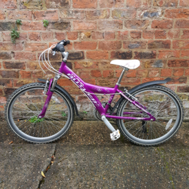 raleigh tomahawk mountain bike